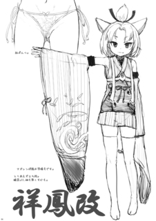 c93web_smp0.jpg